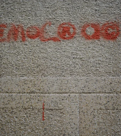 Democracy Marija-Zaric