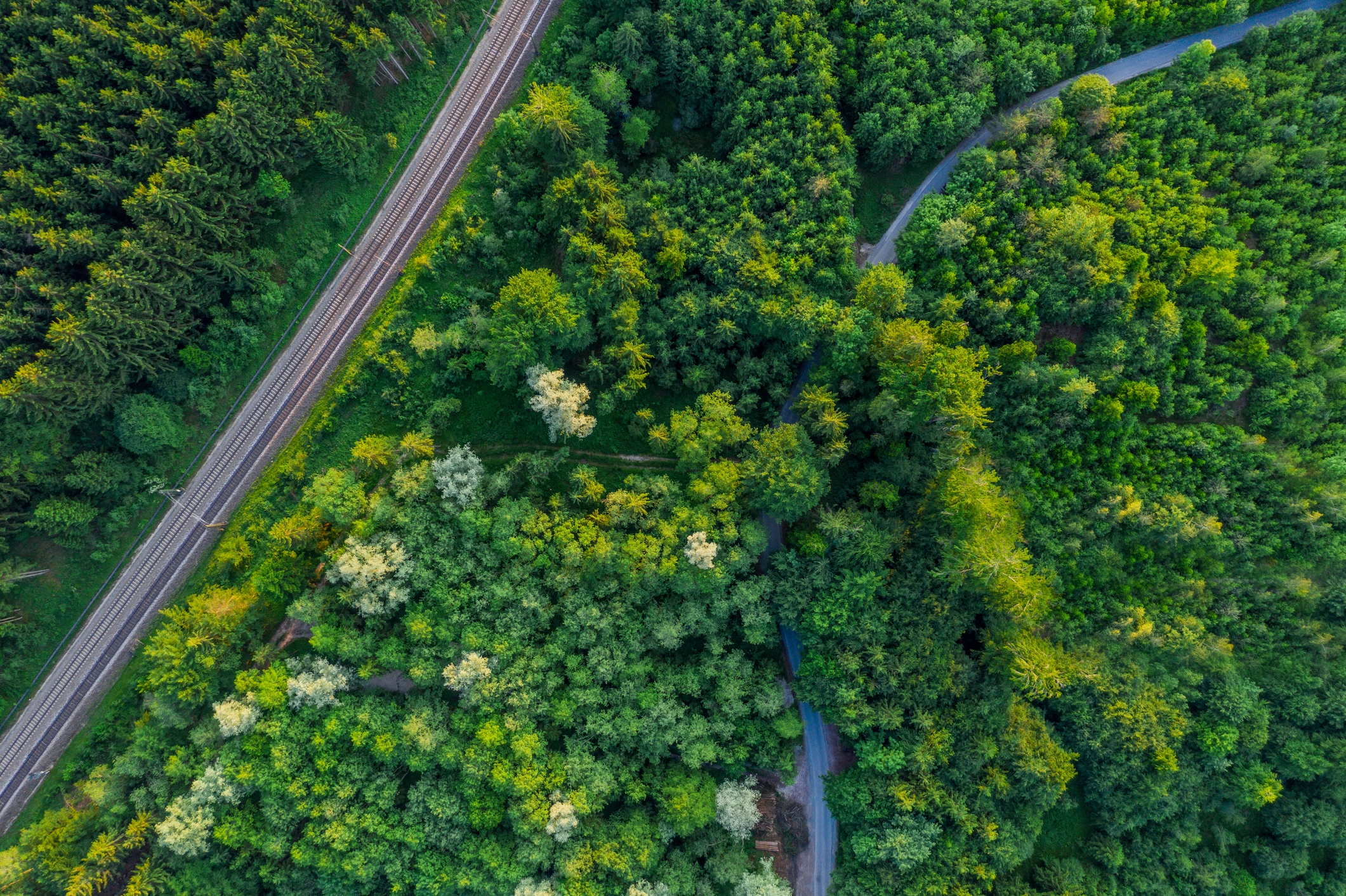 Railway line through the forest