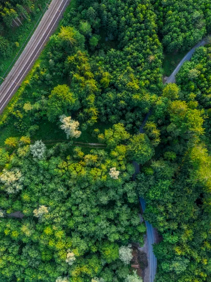 Railway line through the forest